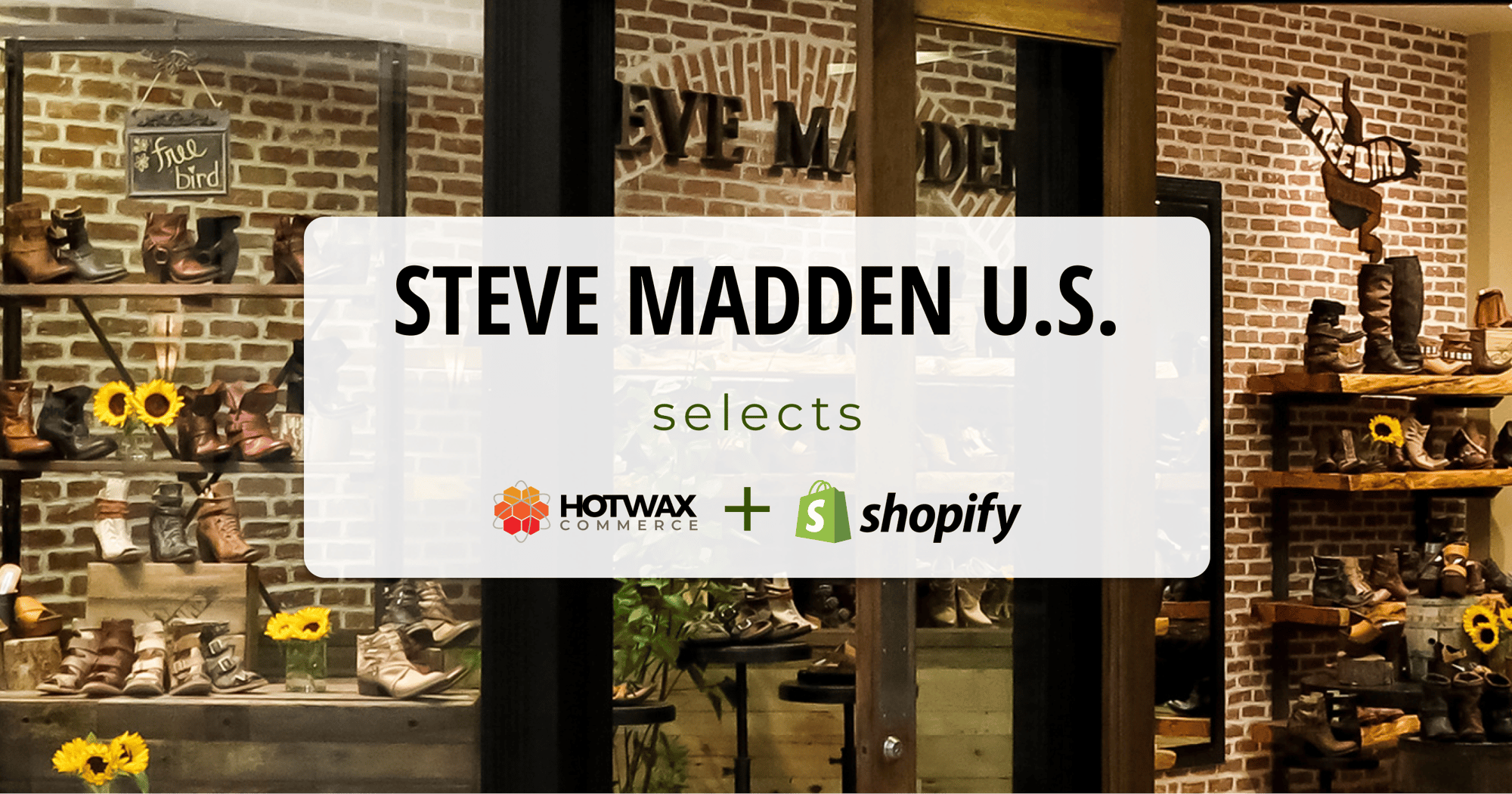 Steve Madden USA banner