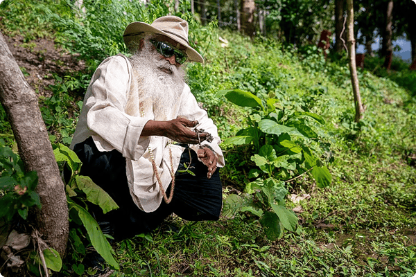 Sadhguru outdoors in a lush green environment supporting the Cauvery Calling initiative