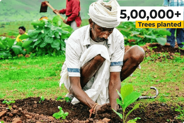 Volunteers and community members participating in a tree plantation drive in a rural area