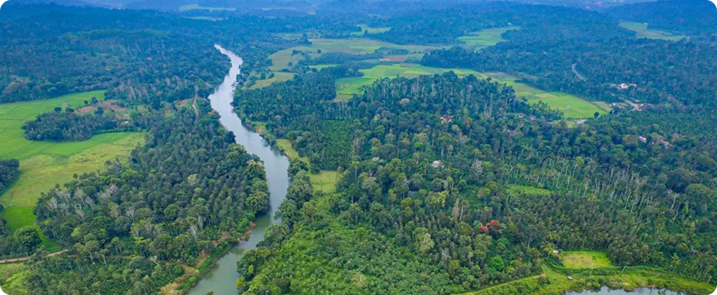 Farmer-led tree planting