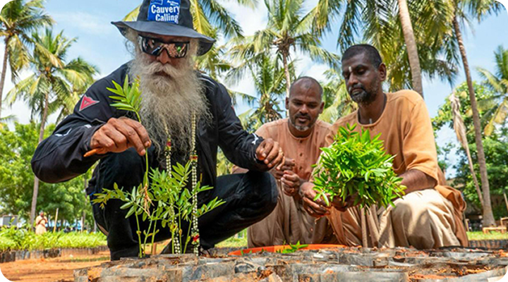 Sadhguru tree planting