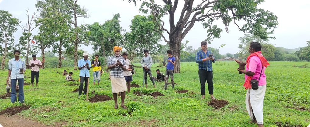 village led forest enrichment